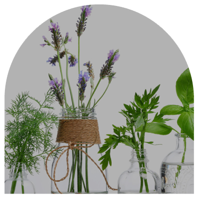 Que-Son-Los-Aceites-Esenciales