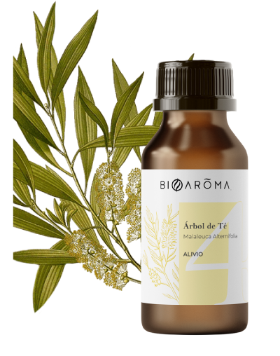 5-Aceite-Árbol-De-Té
