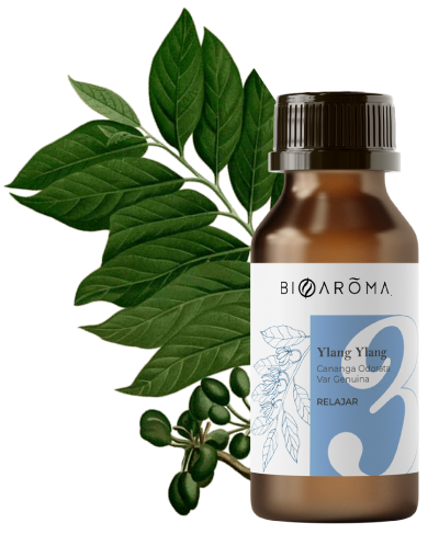 9-Aceite-Ylang-Ylang