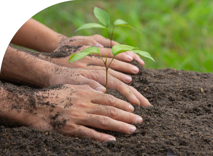 ¿Porque-escoger-bioaroma?