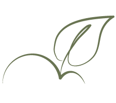 Sin-daños-al-ecosistema