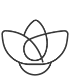 Icono-Fragancias-Fragancias